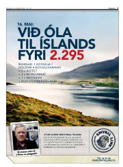 Síða 3