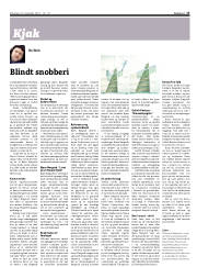 Síða 17