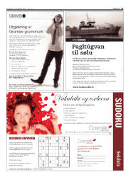 Síða 21
