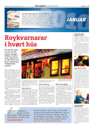 Síða 3
