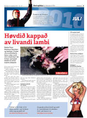Síða 9
