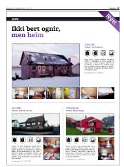 Síða 29