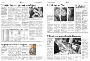 Síða 5