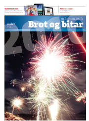Síða 1