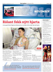Síða 13