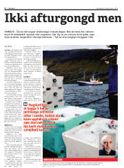 Síða 4