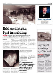 Síða 11