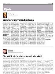 Síða 15