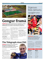 Síða 17