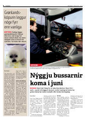 Síða 6