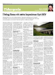 Síða 17