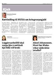 Síða 22