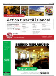 Síða 27