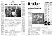 Síða 13