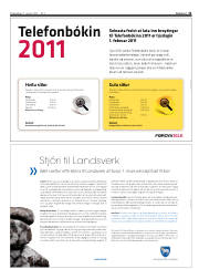 Síða 11