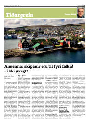 Síða 17