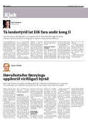 Síða 20