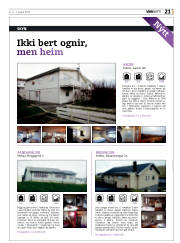 Síða 21