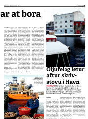 Síða 13