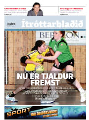 Síða 15