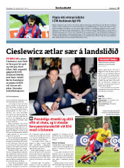Síða 17