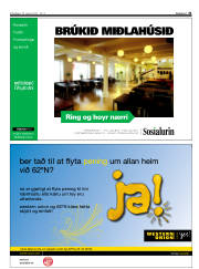 Síða 31