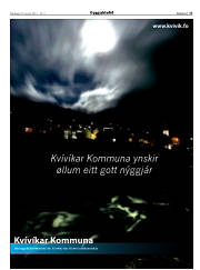 Síða 17