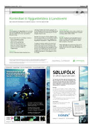 Síða 13