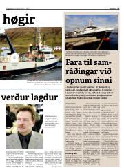 Síða 29