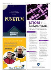 Síða 31