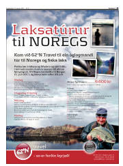 Síða 35