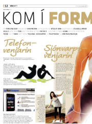 Síða 12