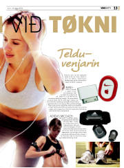 Síða 13