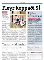 Síða 19
