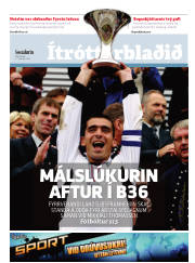Síða 13