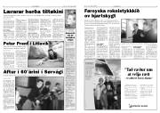 Síða 3