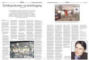 Síða 17