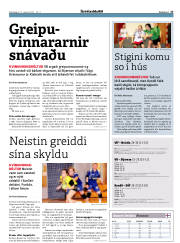Síða 17