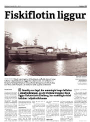 Síða 11