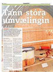 Síða 20