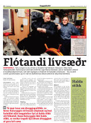 Síða 22