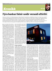 Síða 29
