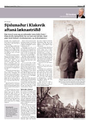 Síða 33