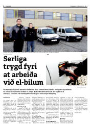 Síða 6