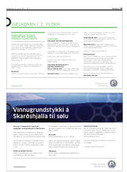 Síða 25