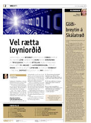 Síða 2