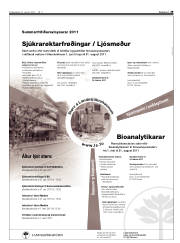 Síða 29