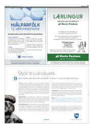 Síða 31