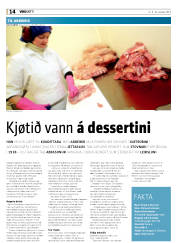 Síða 14