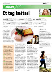 Síða 17